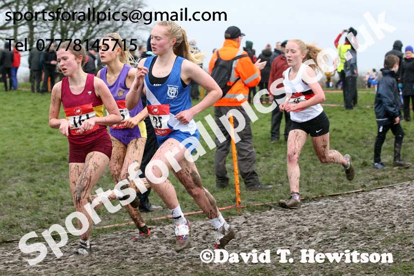 Senior girls 2019 New Balance English Schools Cross Country Champs, Temple Newsam, Leeds. Photo:  David T. Hewitson/Sports for All Pics